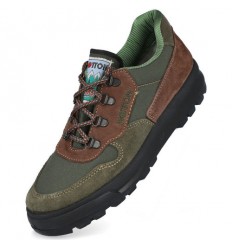 Notton 884 Zapato 2